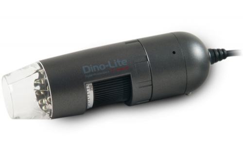 8d26eb7a-cf36-11ef-9d2e-000c29e1040d